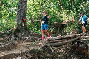 BIB: 
                            <button type="button" onclick="openModal(27558252)" class="btn btn-primary btn-sm float-right btn-popup" data-toggle="modal" data-target=".modal-high-quality">
                        <i class="fas fa-shopping-cart"></i> Add to Cart
                    </button>
                                            <button type="button" onclick="isThisMe(27558252, true)" class="btn btn-success btn-sm float-right btn-popup btn-isme hidden" data-toggle="tooltip" data-placement="bottom" title="นี่คือรูปของคุณใช่ไหม คลิกที่นี่เพื่อเอาเข้าอัลบั้ม">
                        <i class="fas fa-plus"></i> Add to album
                    </button>
                    <button type="button" onclick="isThisMe(27558252, false)" class="btn btn-warning btn-sm float-right btn-popup btn-isnotme hidden">
                        <i class="fas fa-ban"></i> Remove from album
                    </button>